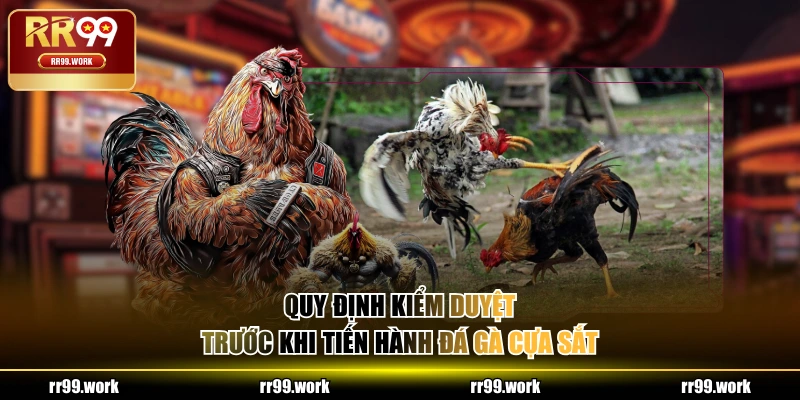 Quy định kiểm duyệt trước khi tiến hành đá gà cựa sắt